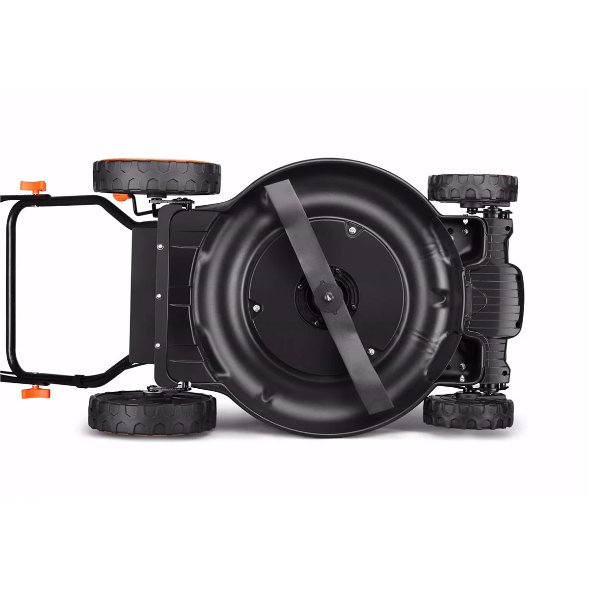 B-WARE  - Image 8